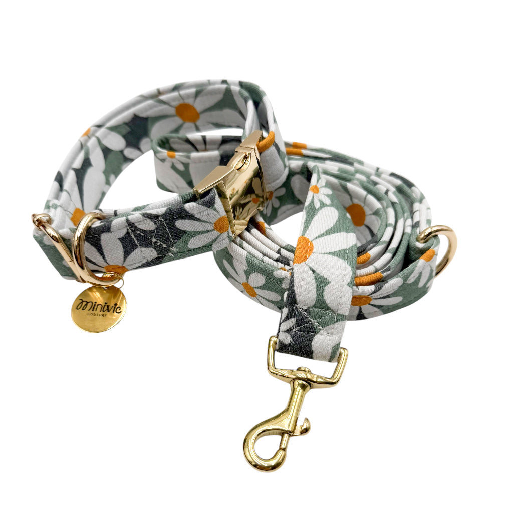 MARGE - Collier & laisse