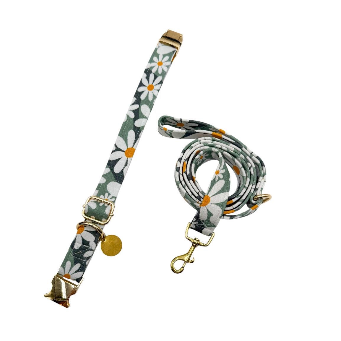 MARGE - Collier & laisse