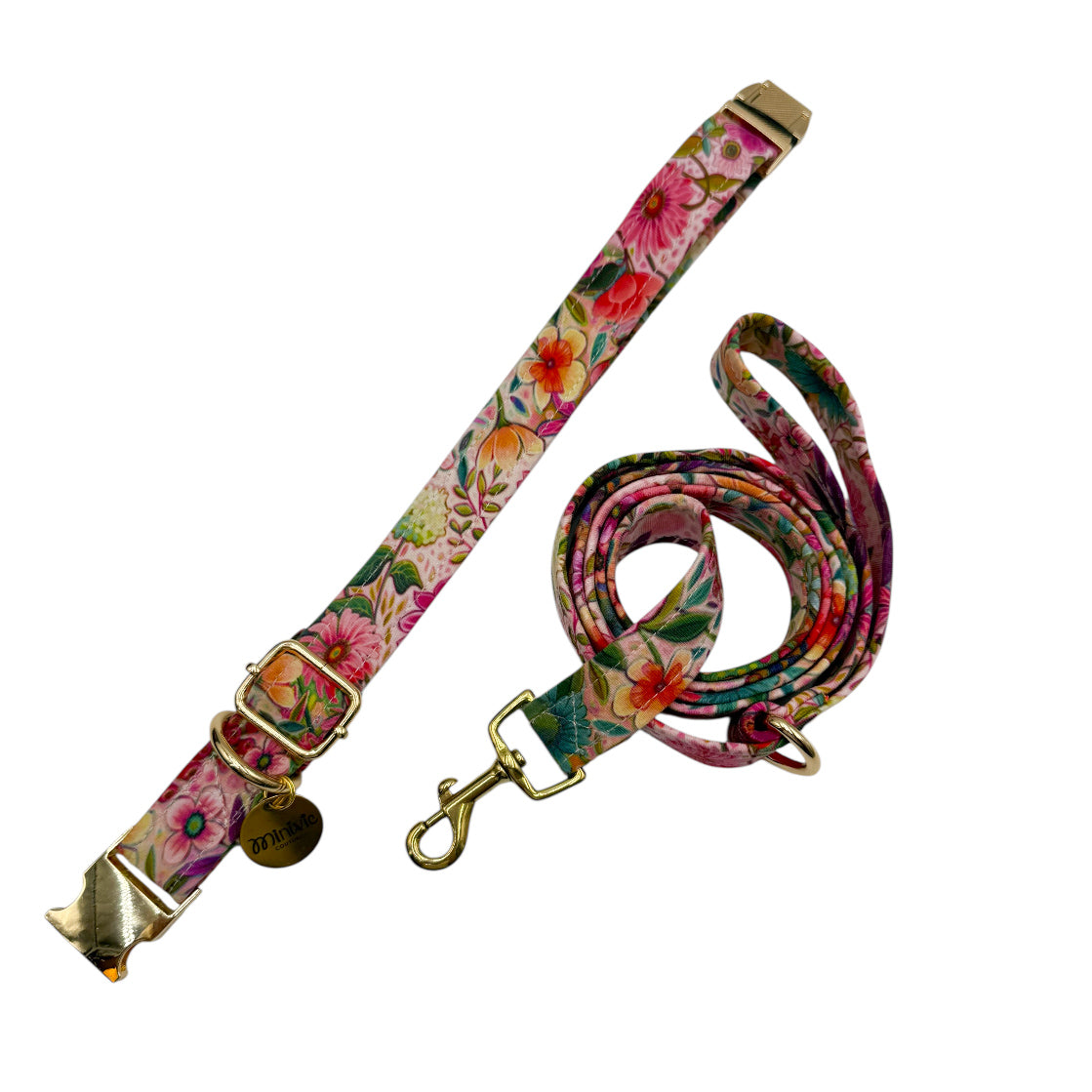 GANAËLLE - Collier & laisse