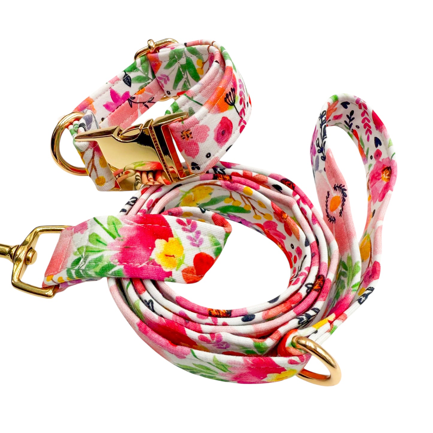 ALBA - Collier & laisse