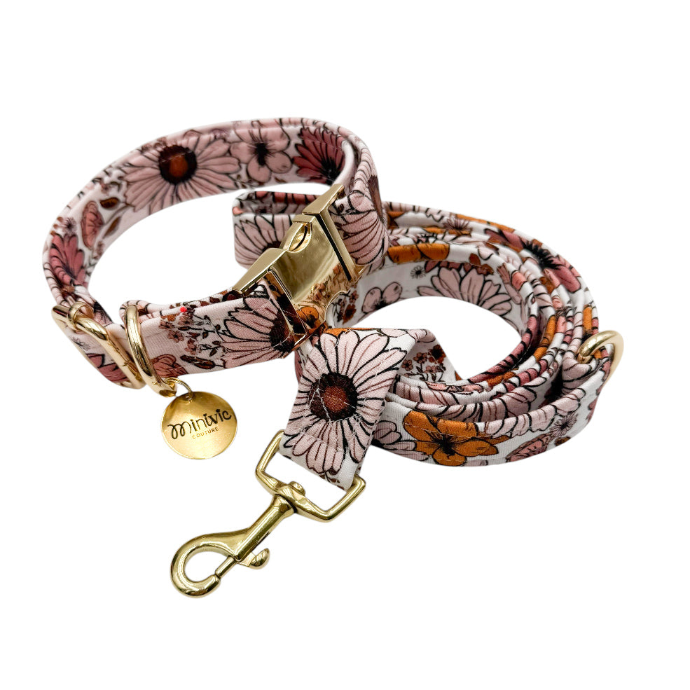 OLIVIA - Collier & laisse