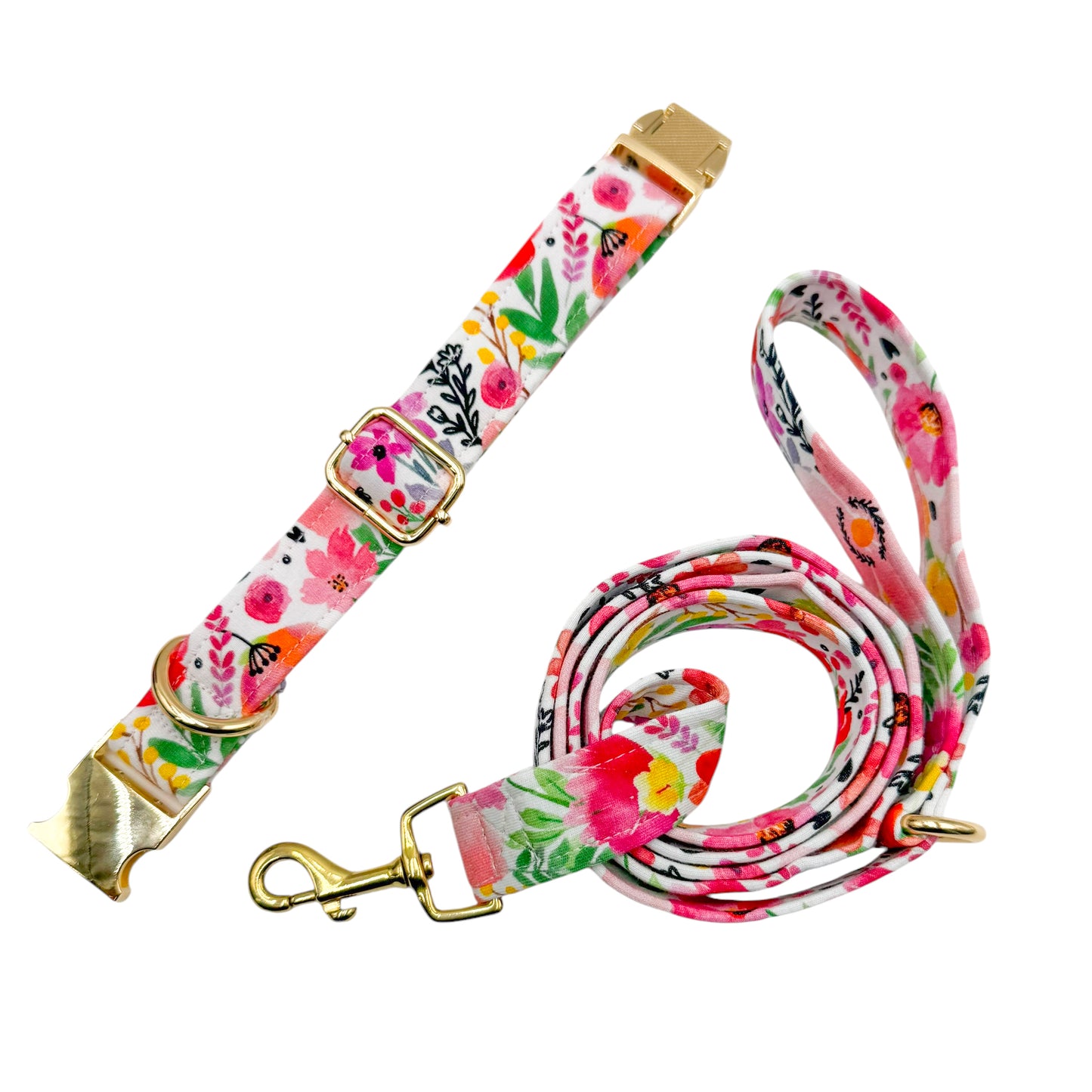 ALBA - Collier & laisse