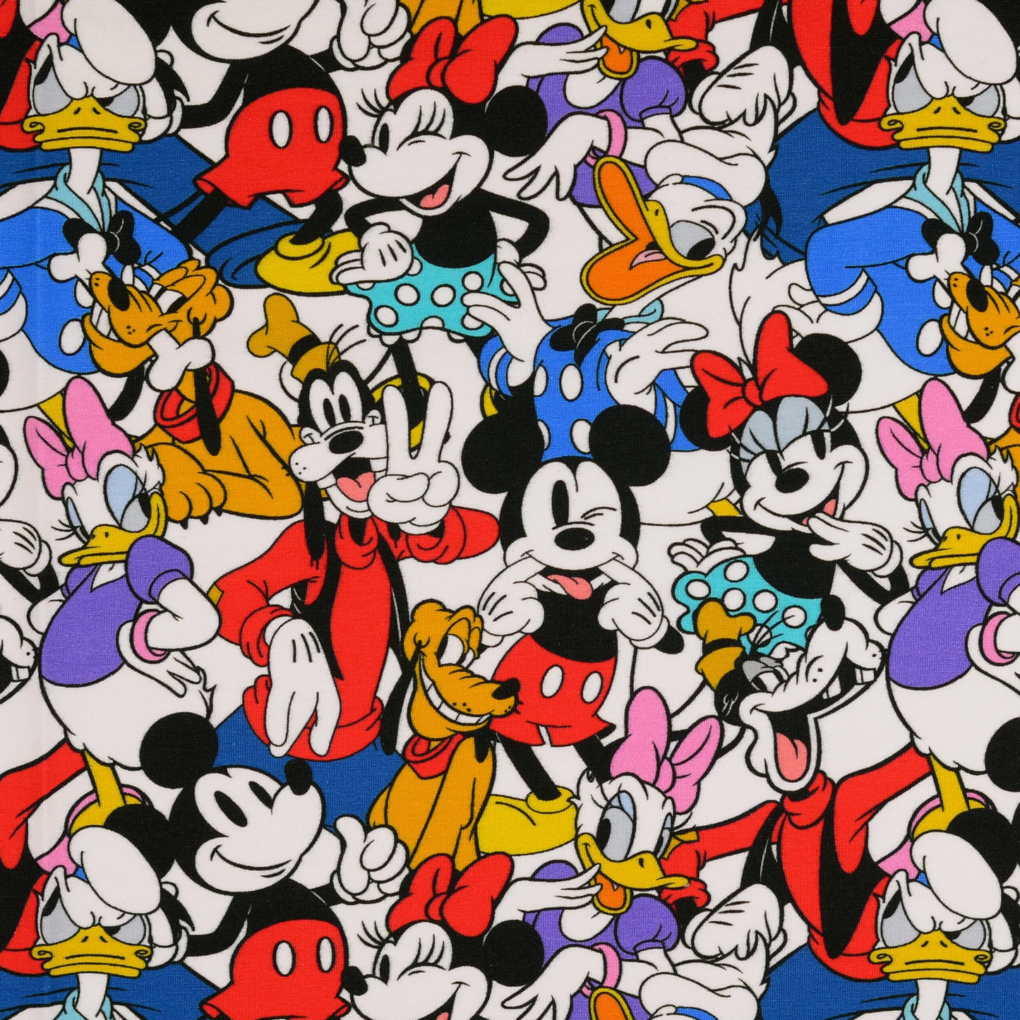 MOUSE ◦ Coupon