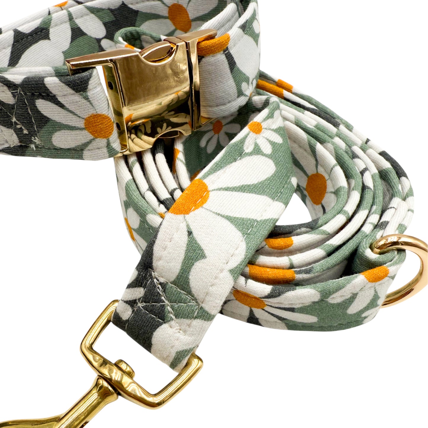 MARGE - Collier & laisse
