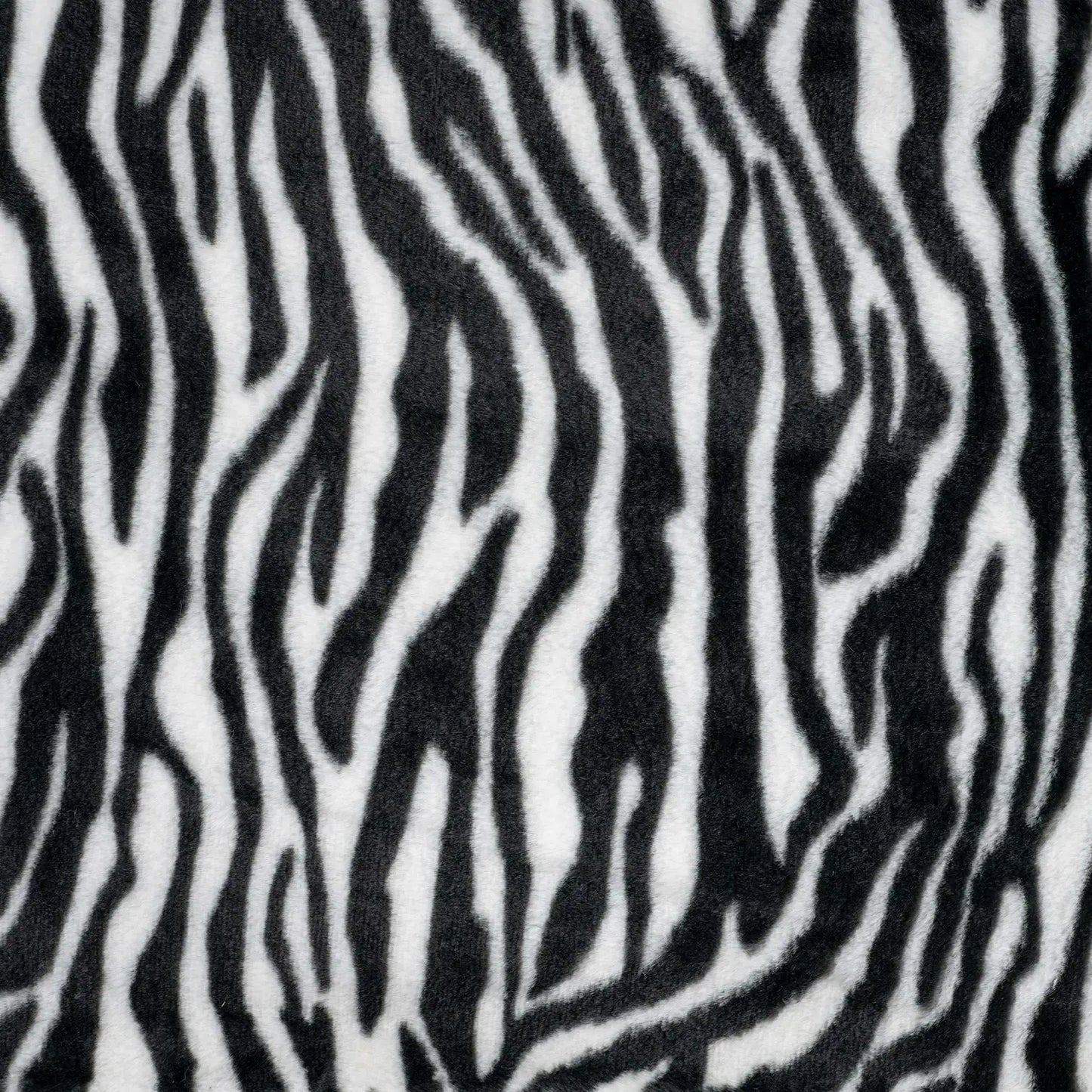 ZEBRA ◦ Tissus
