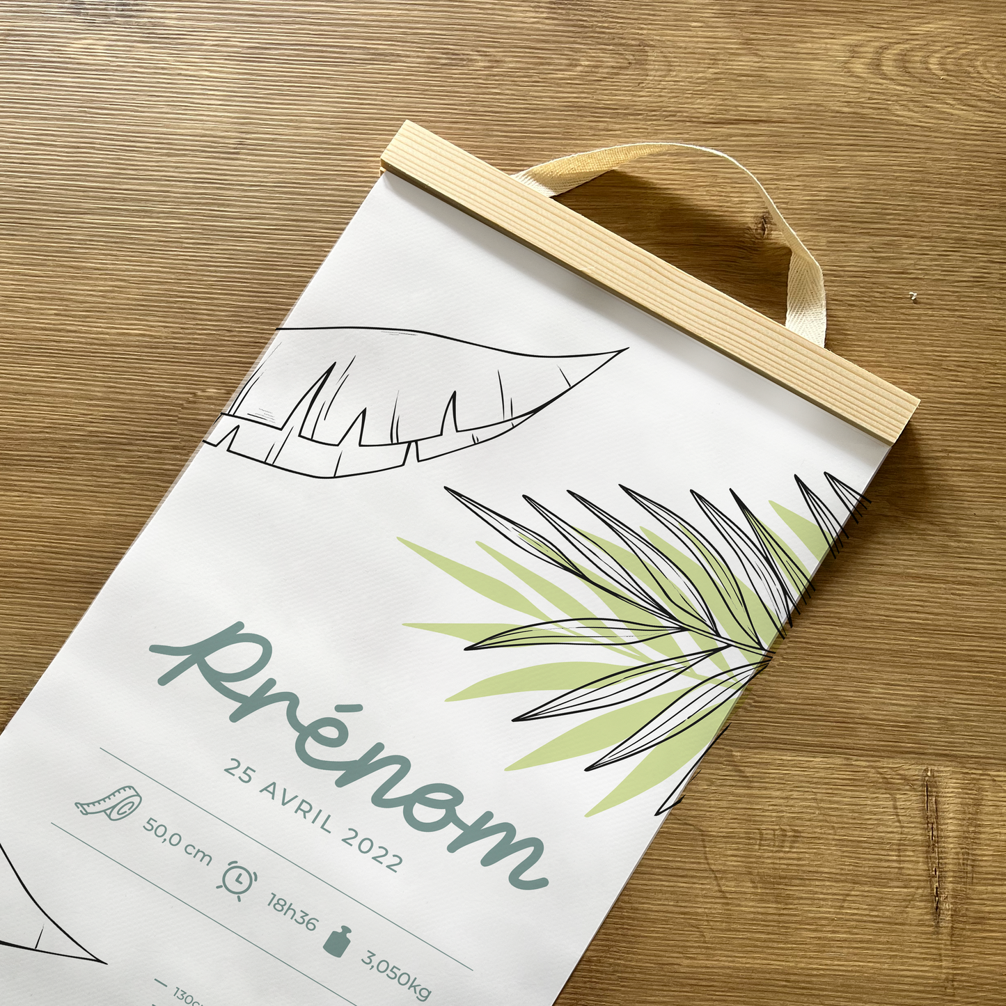 FAUNE ET FLORE - Toise