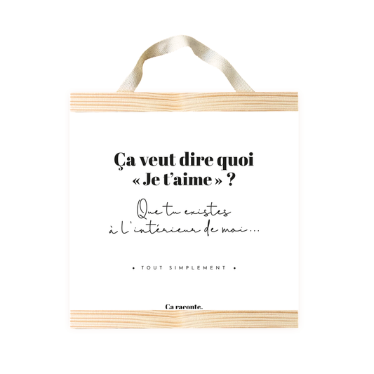 CA VEUT DIRE QUOI JE T'AIME (25x25) - Poster