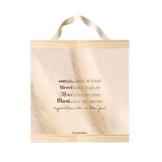 MERCI POUR LE SOLEIL (25x25) - Poster