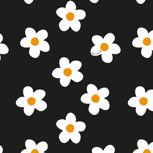 AMBRE ◦ Coupon