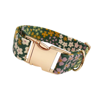 FLOWERS KAKI - Collier & laisse