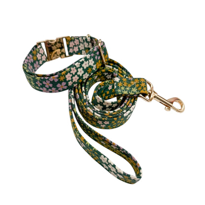 FLOWERS KAKI - Collier & laisse