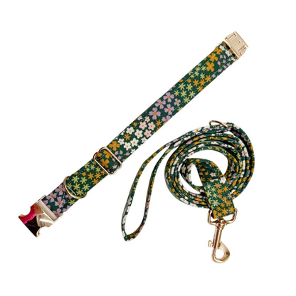 FLOWERS KAKI - Collier & laisse