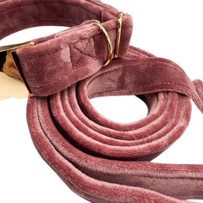 VELOUR ROSE - Collier & laisse