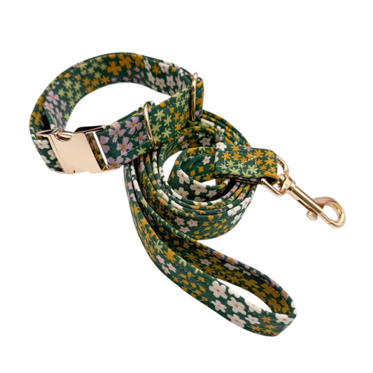 FLOWERS KAKI - Collier & laisse