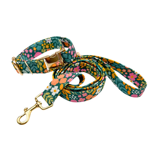 MORGANE - Collier & laisse
