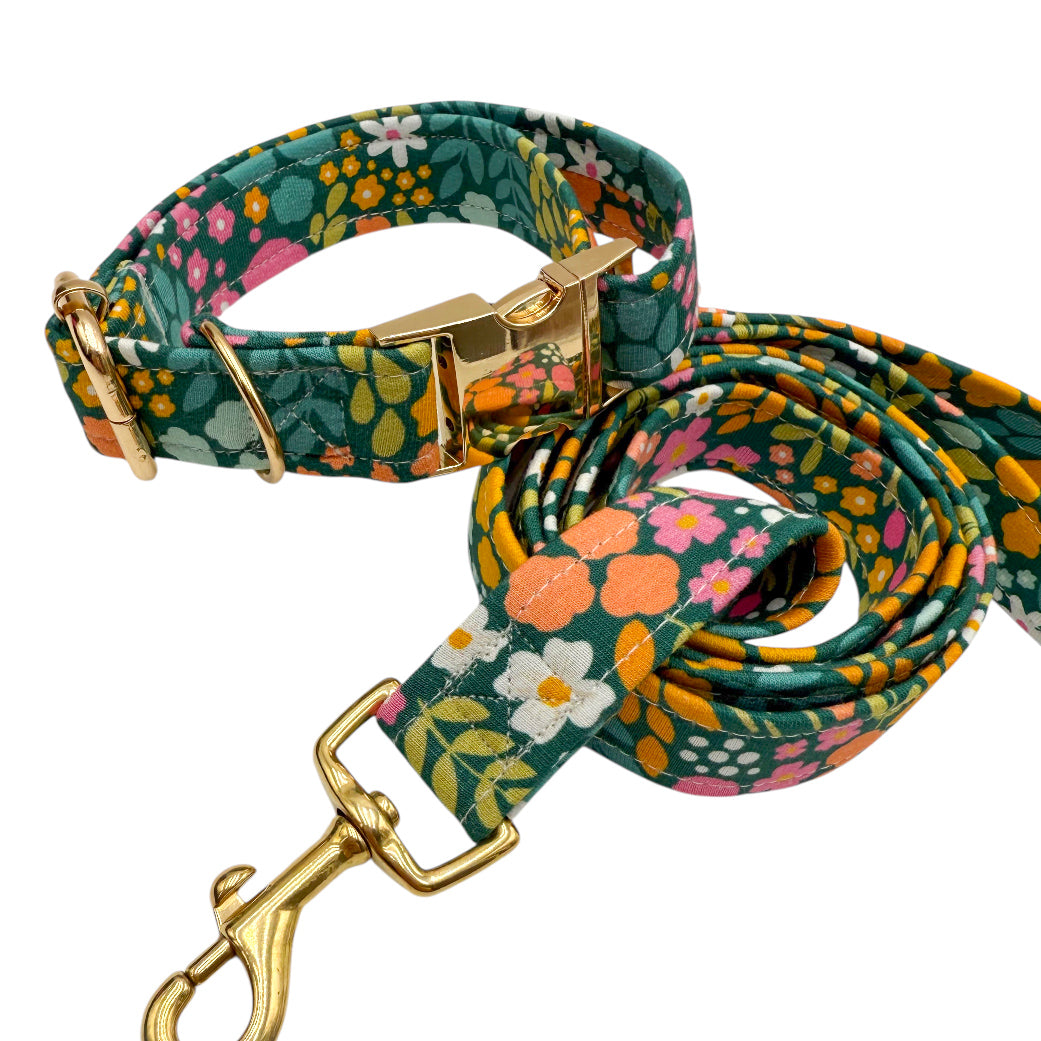 MORGANE - Collier & laisse