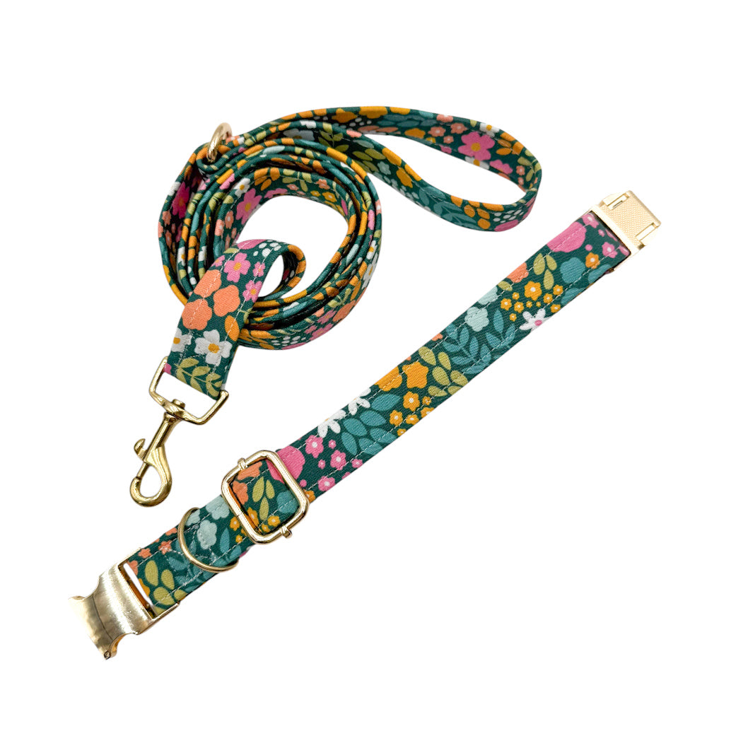 MORGANE - Collier & laisse
