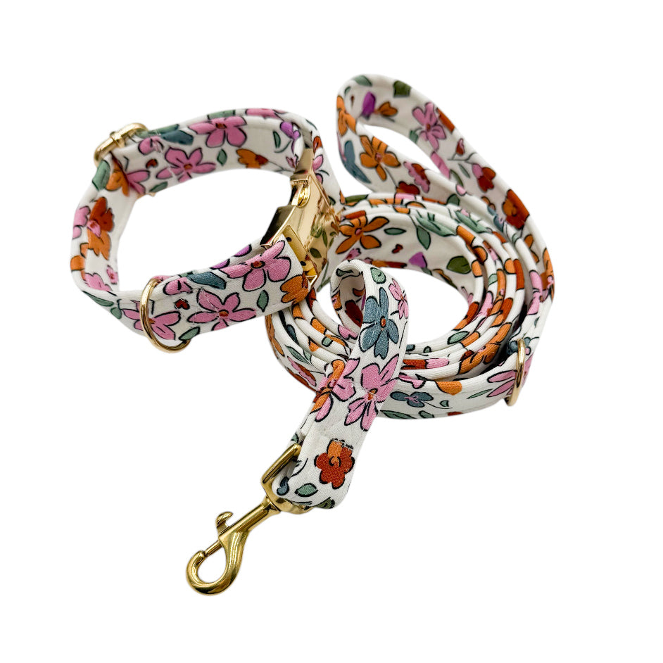 SARAH - Collier & laisse