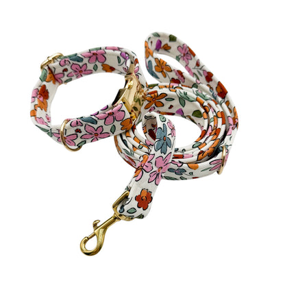 SARAH - Collier & laisse