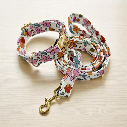 SARAH - Collier & laisse