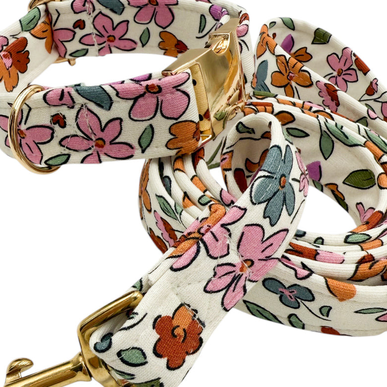 SARAH - Collier & laisse