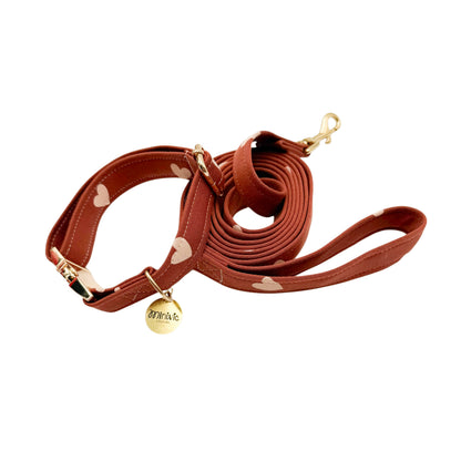 NINON - Collier & laisse
