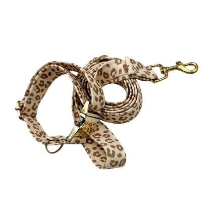 PARLEO - Collier & laisse
