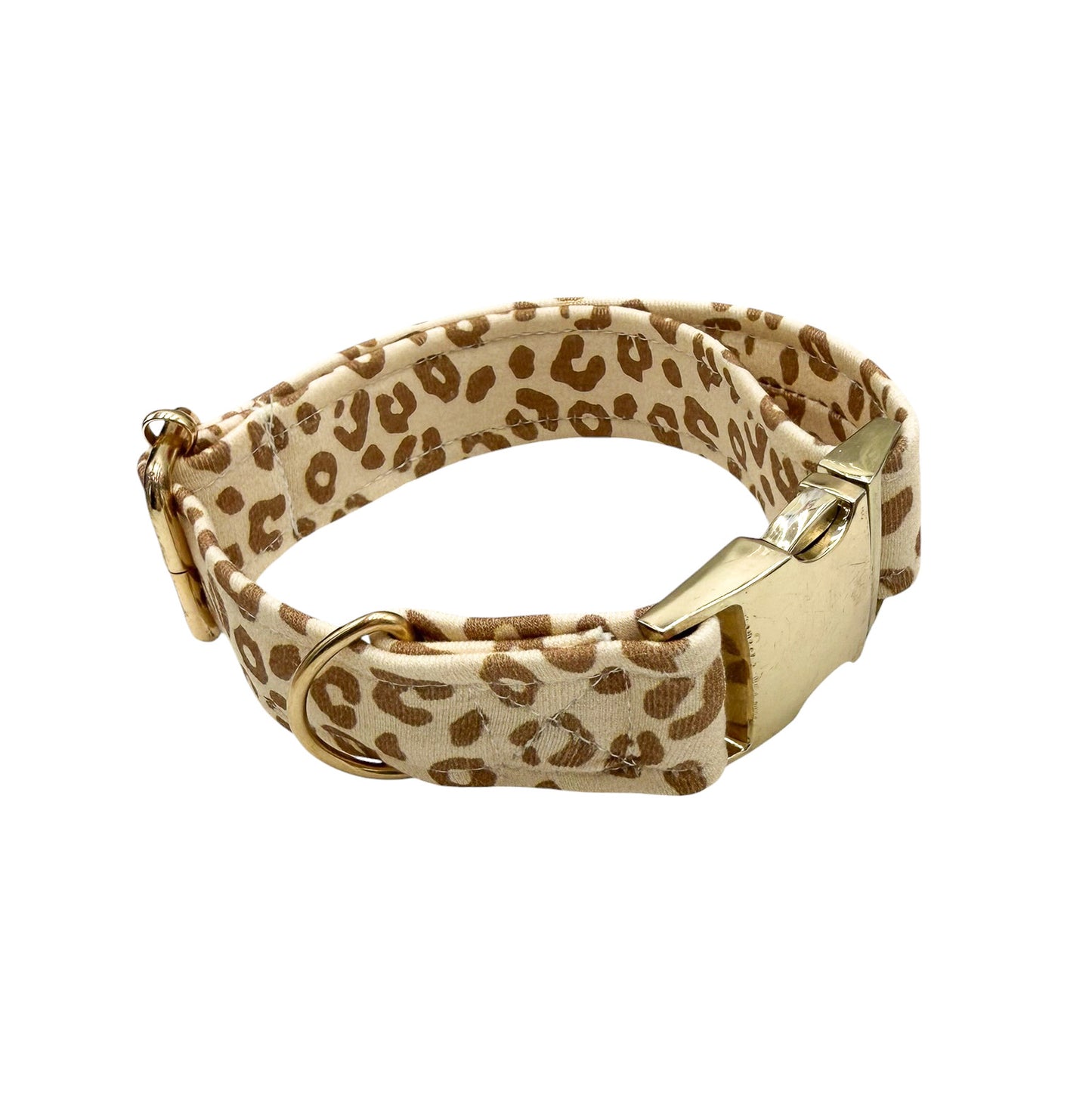 PARLEO - Collier & laisse
