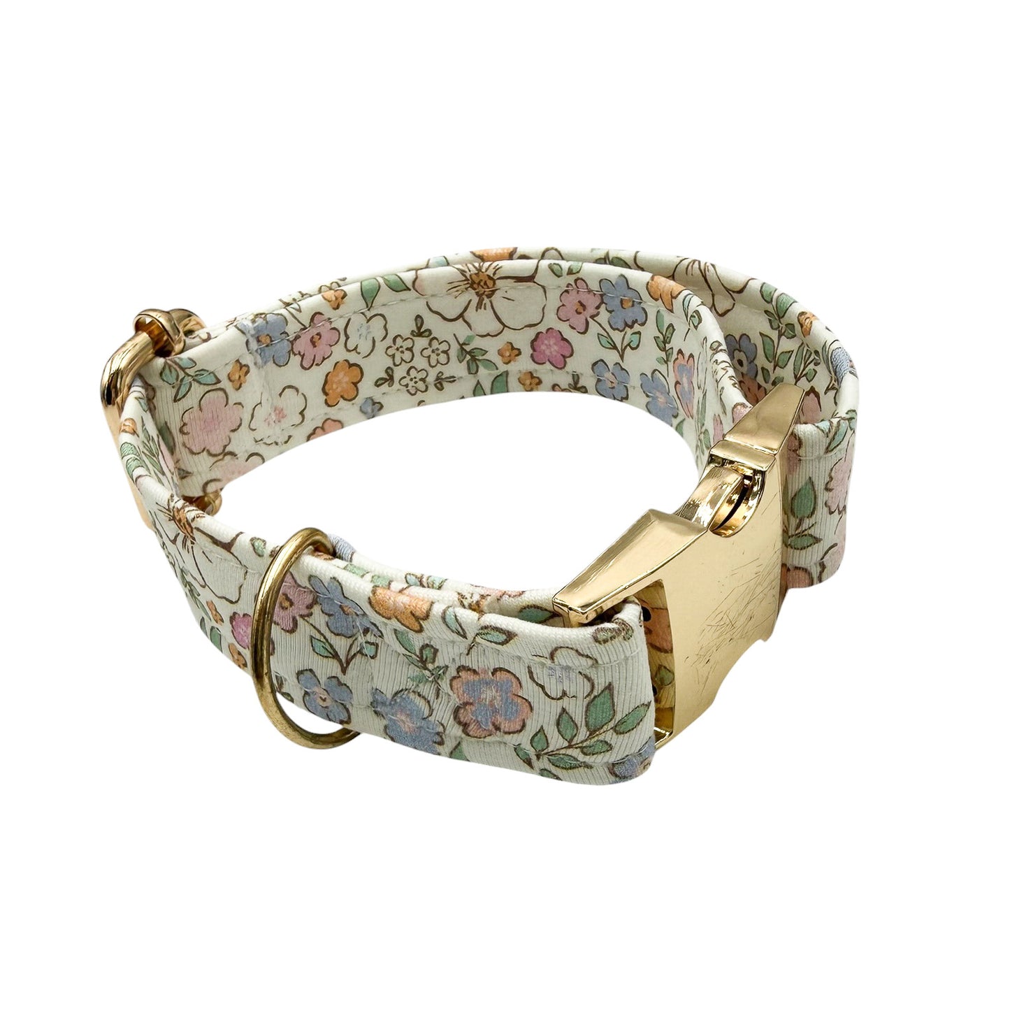 JOYE - Collier & laisse