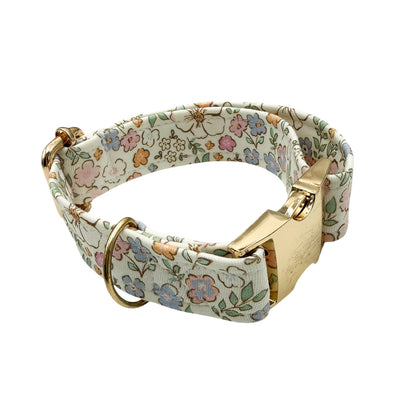 JOYE - Collier & laisse