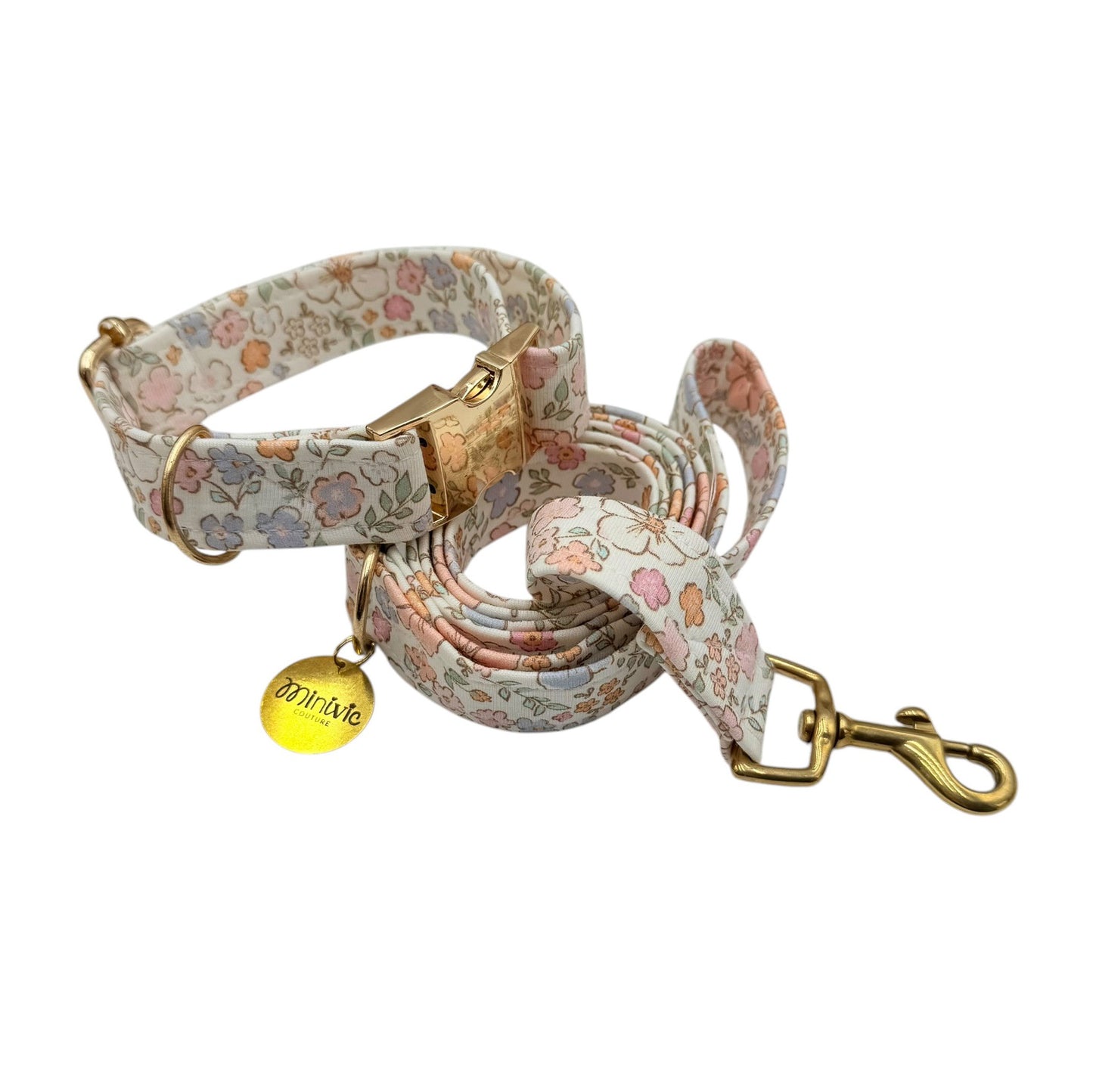 JOYE - Collier & laisse