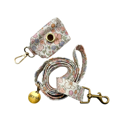 JOYE - Collier & laisse