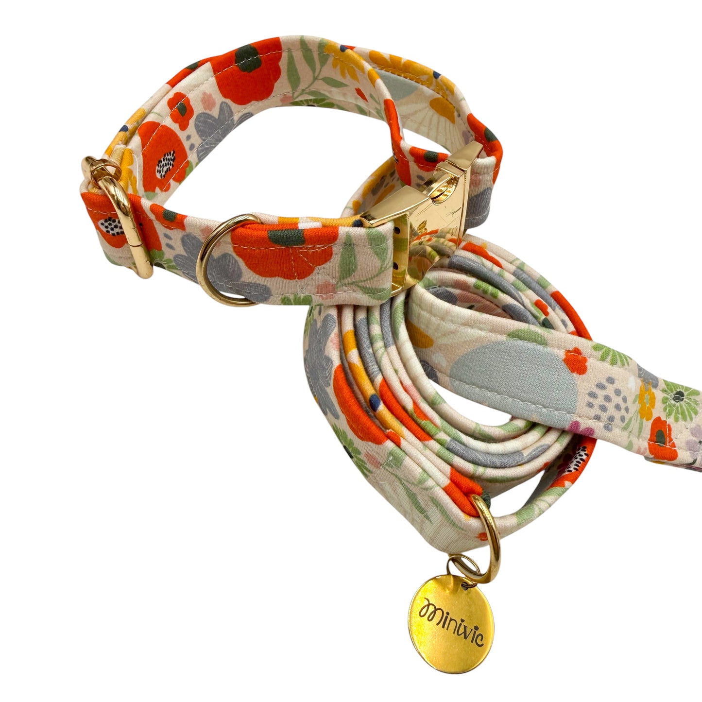 OCEANE - Collier & laisse
