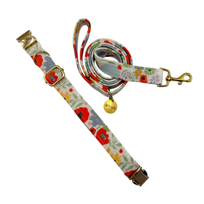 OCEANE - Collier & laisse