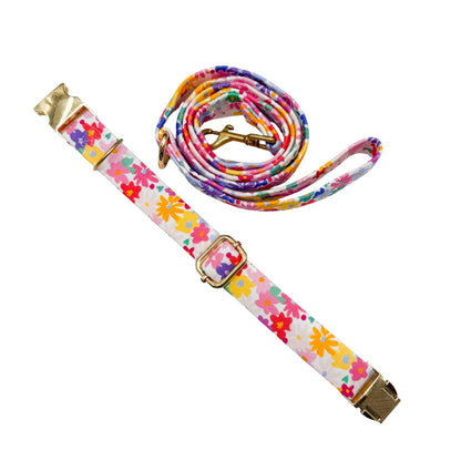 BELLA - Collier & laisse