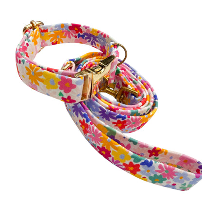 BELLA - Collier & laisse