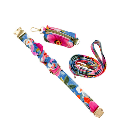 ROSIE - Collier & laisse