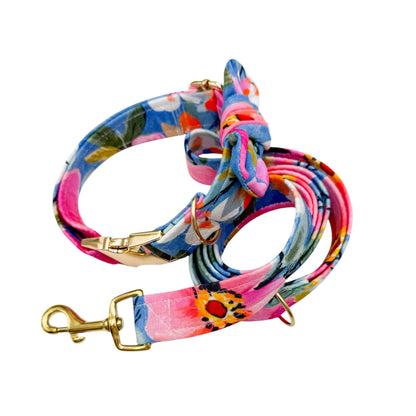 ROSIE - Collier & laisse
