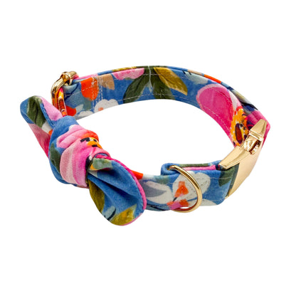 ROSIE - Collier & laisse