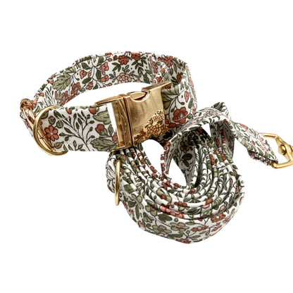 MANELLE - Collier & laisse