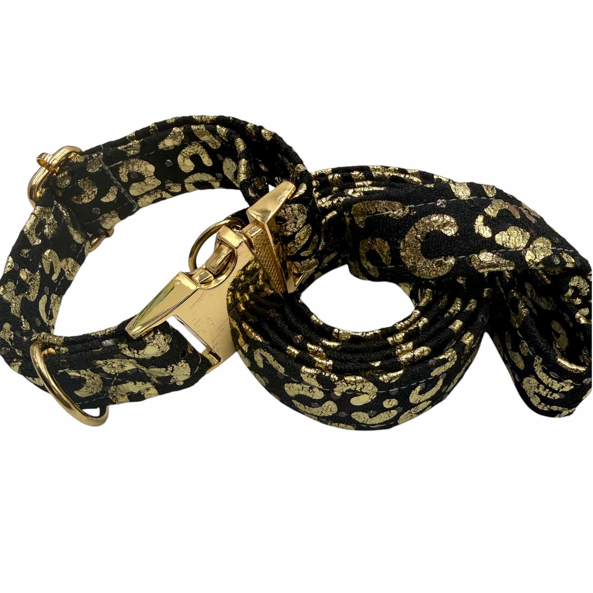 FOILY - Collier & laisse