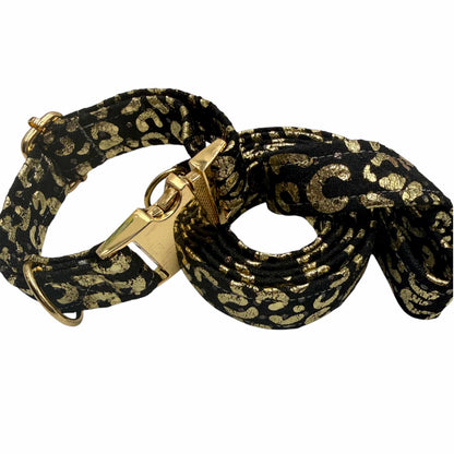 FOILY - Collier & laisse
