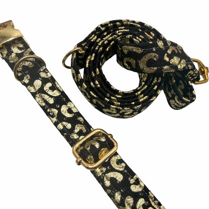 FOILY - Collier & laisse