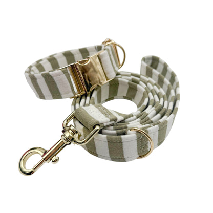 NIRAM KAKI - Collier & laisse