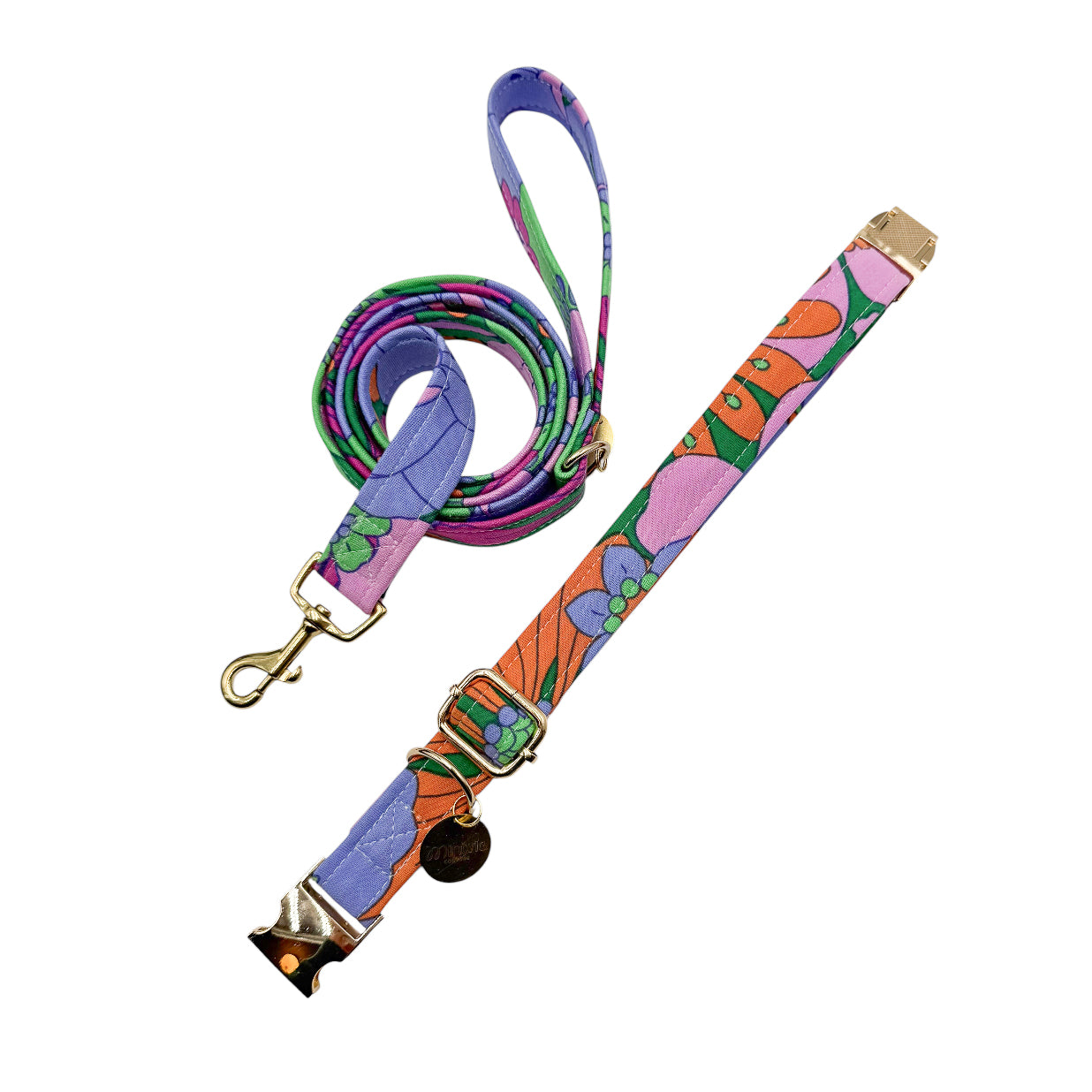 CASSANDRE - Collier & laisse