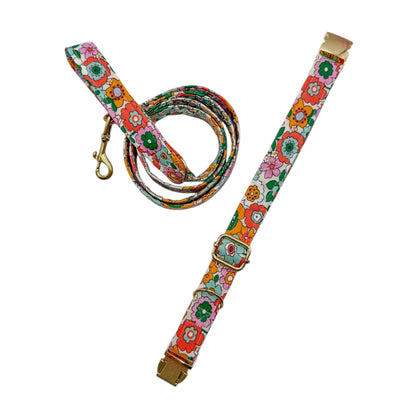 ZAZZY - Collier & laisse