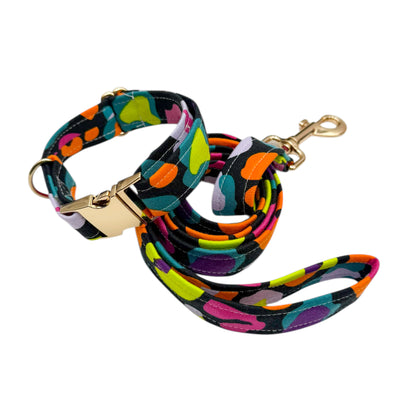 LEOFLUO - Collier & laisse