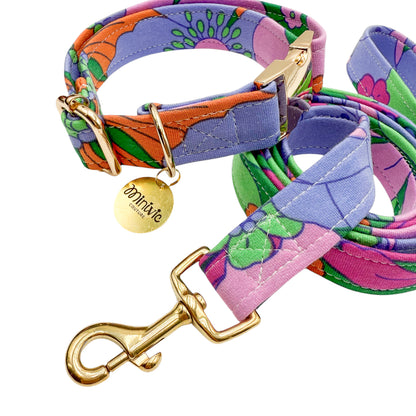 CASSANDRE - Collier & laisse