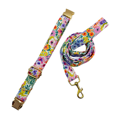 FLOW - Collier & laisse