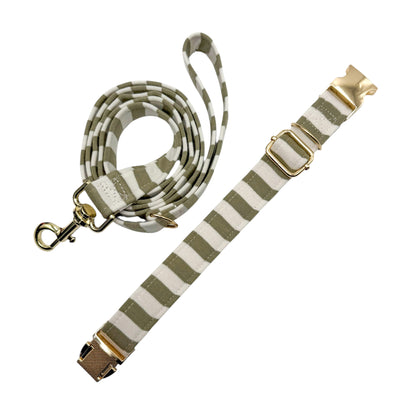 NIRAM KAKI - Collier & laisse